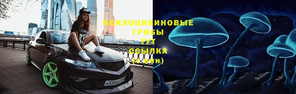 мет Мегион
