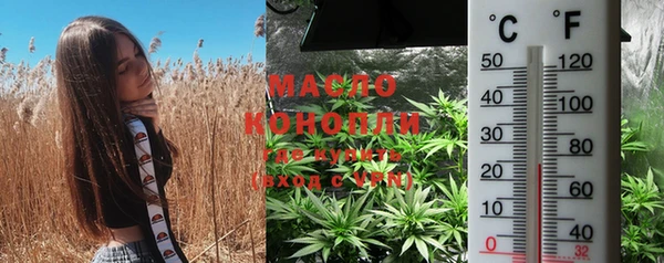 мет Мегион