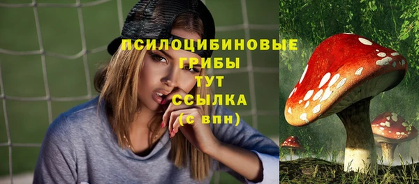 прущие крисы Медногорск