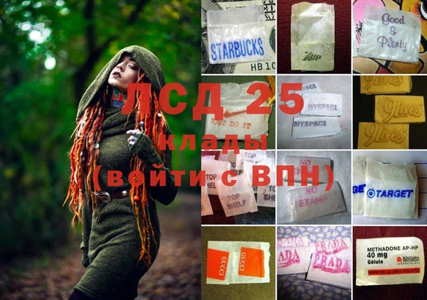 ECSTASY Медвежьегорск