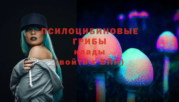 прущая мука Магадан