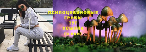 мет Мегион